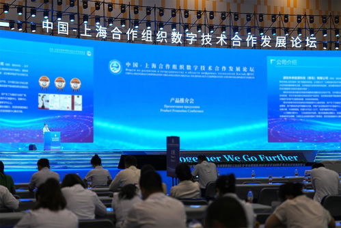 以 上合 為媒 共繪合作發(fā)展新圖景 技術(shù)服務的驅(qū)動與未來