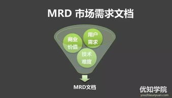 技術(shù)型產(chǎn)品人必備 產(chǎn)品開發(fā)流程與技術(shù)服務實戰(zhàn)指南